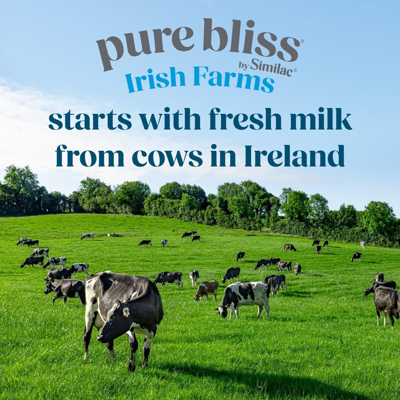 Pure Bliss Irish Farms, Easy-to-Digest Baby Formula, Infant Formula, 0-12 Months, 24.7-oz Can - Image 6